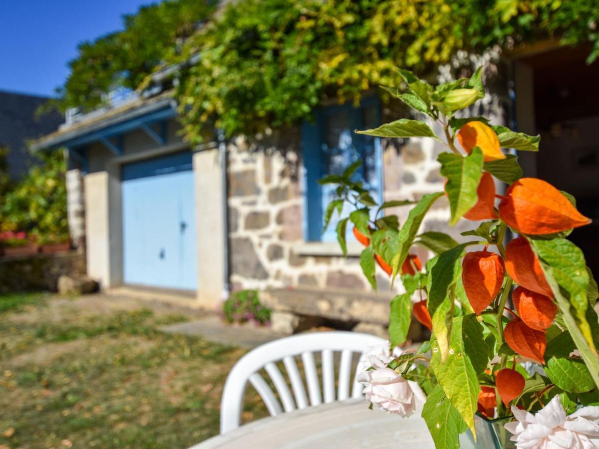 Beautiful Villa In The Parc Des Volcans D Auvergne Vic-sur-Cère Zewnętrze zdjęcie